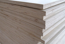 ��(sh��)ľ���Ӱ�